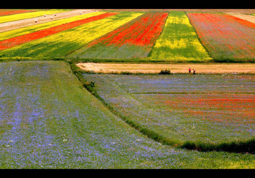 I colori delle vie - Micol Art Gallery