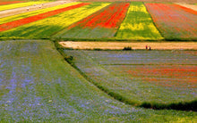  I colori delle vie 2