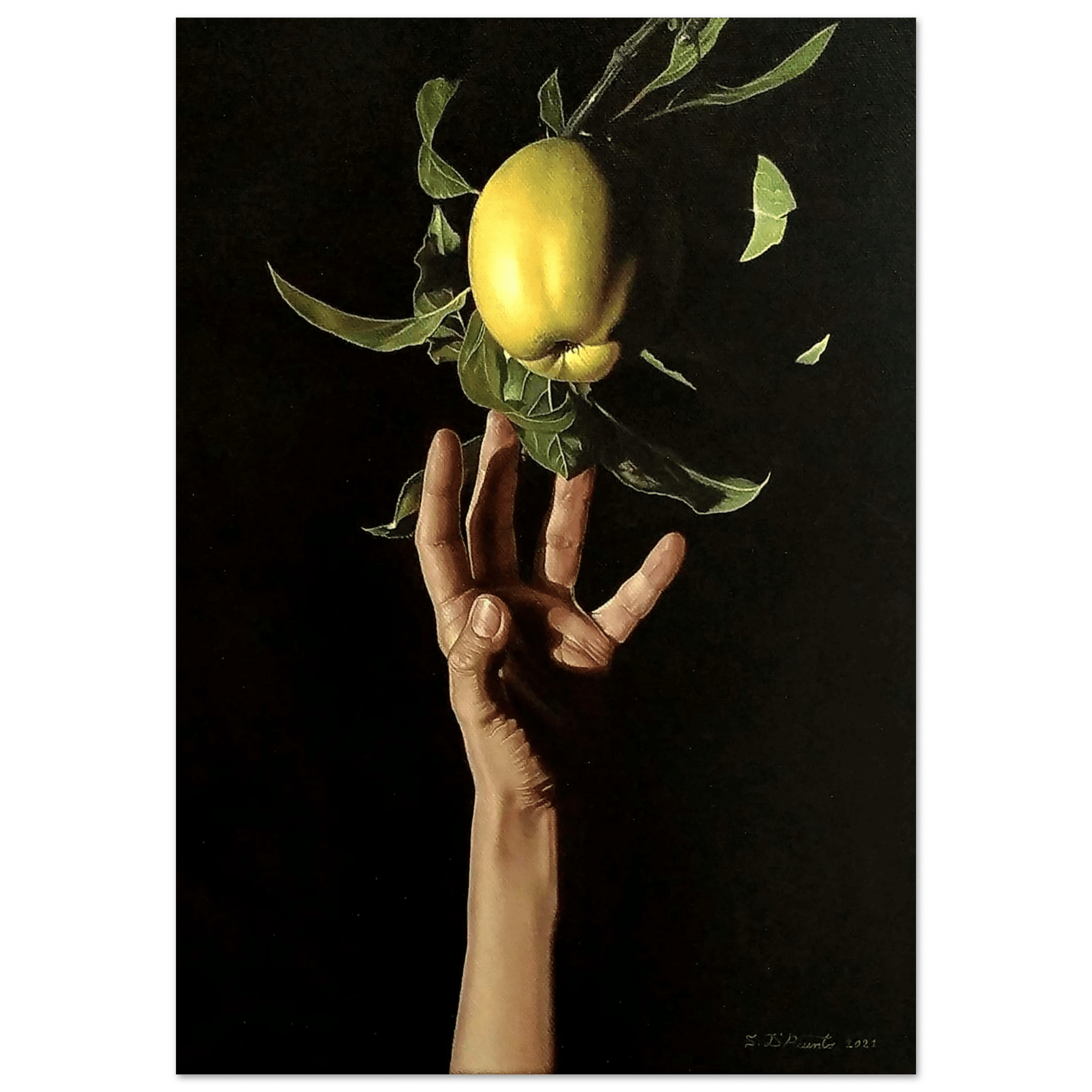 Il Frutto Proibito - Micol Art Gallery