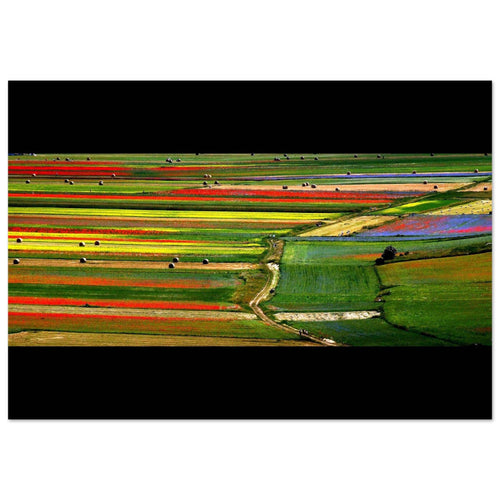 Il giardino della fata - Micol Art Gallery