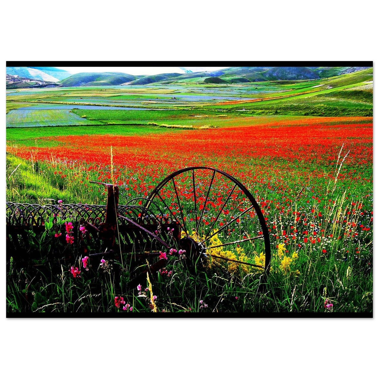 Il nonno - Micol Art Gallery