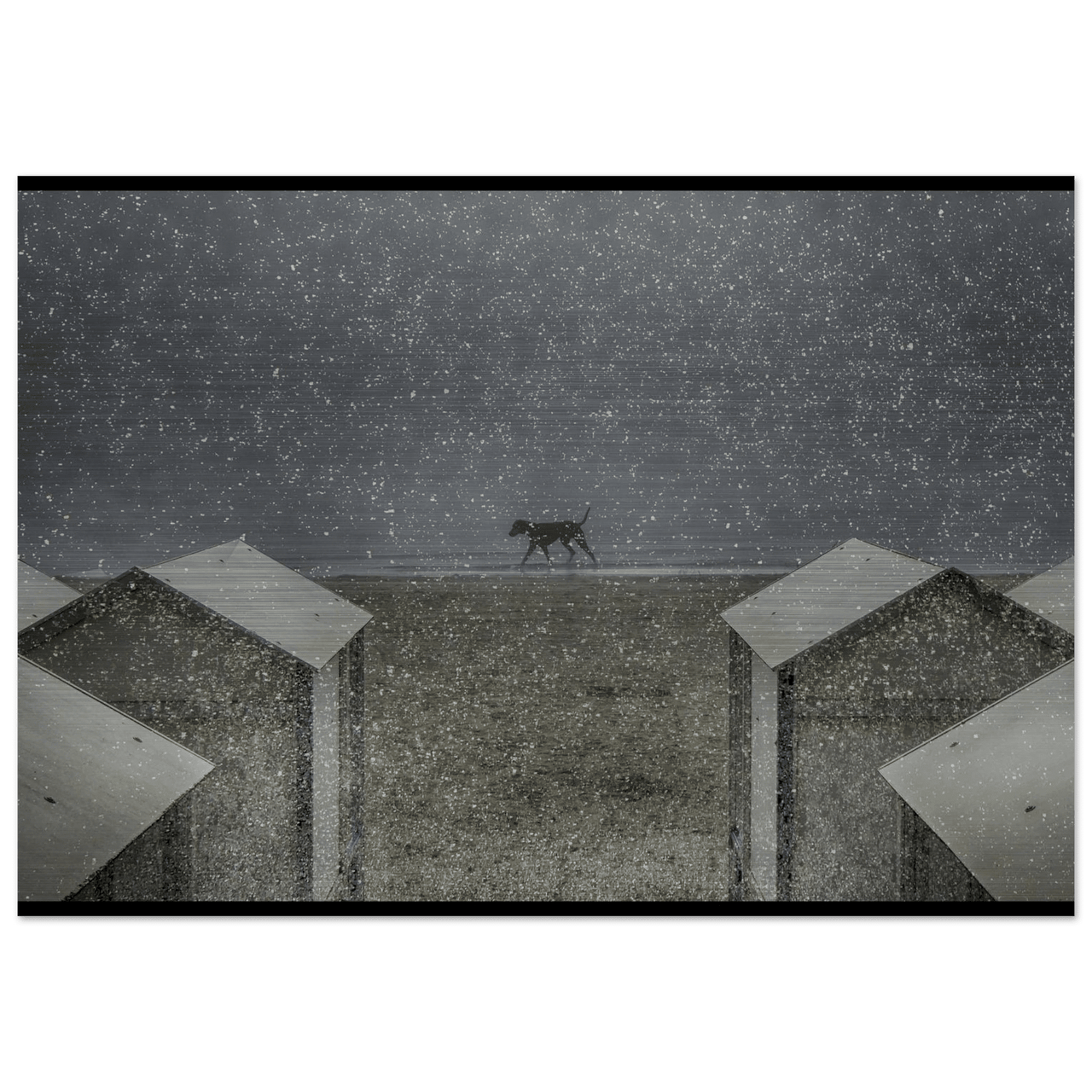 Il Passo del Silenzio - Micol Art Gallery