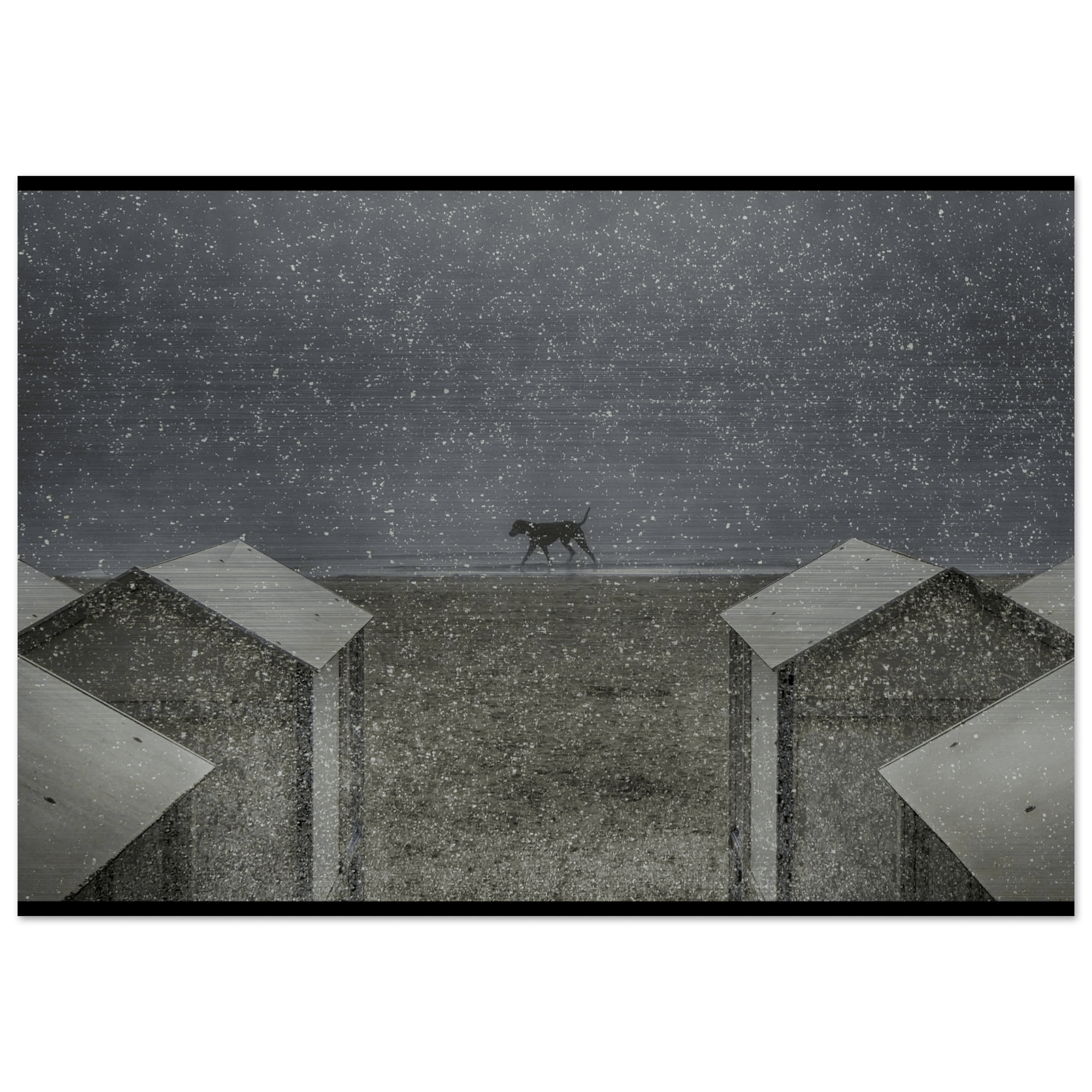 Il Passo del Silenzio - Micol Art Gallery