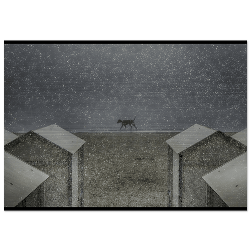 Il Passo del Silenzio - Micol Art Gallery