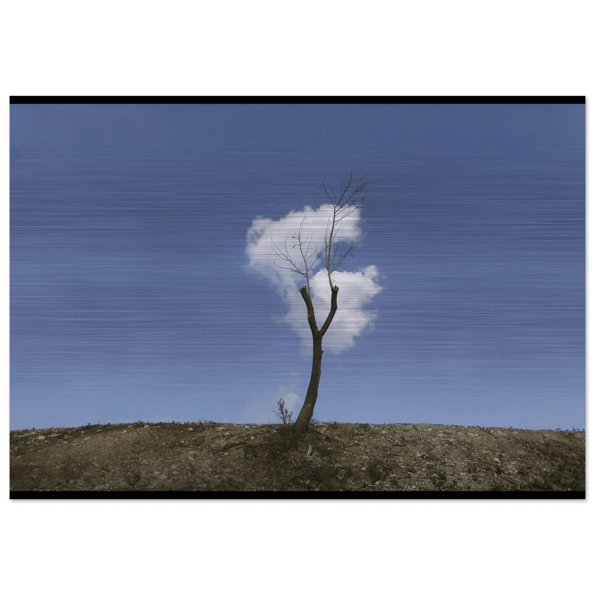 Il Pensiero Leggero - Micol Art Gallery