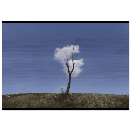 Il Pensiero Leggero - Micol Art Gallery