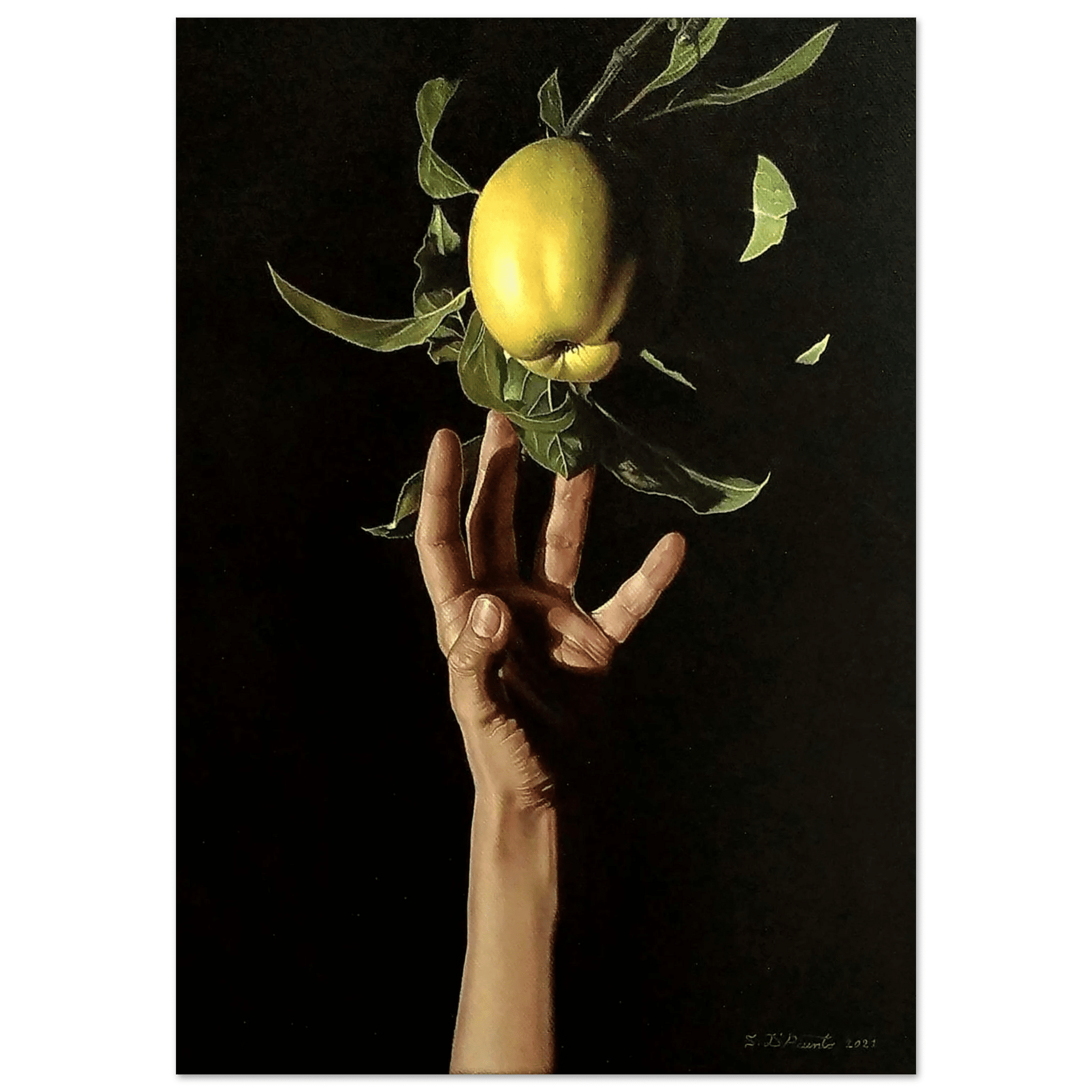 Il Tocco della Genesi - Micol Art Gallery