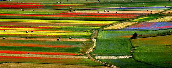 Il giardino delle fate