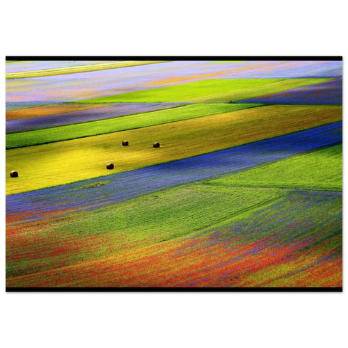 Io - Micol Art Gallery