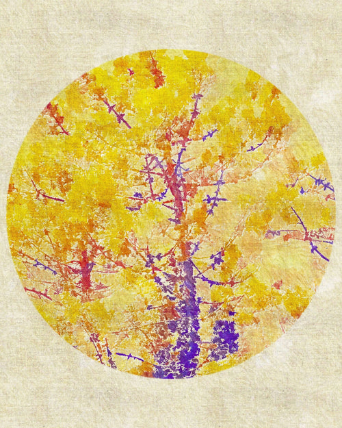 Japanese Moon - Micol Art Gallery