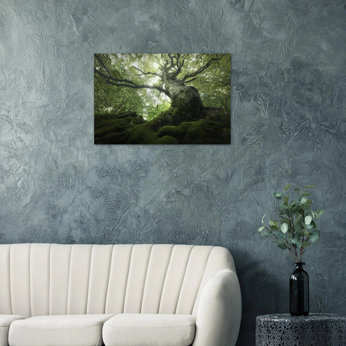 King of the Forest - Micol Art Gallery