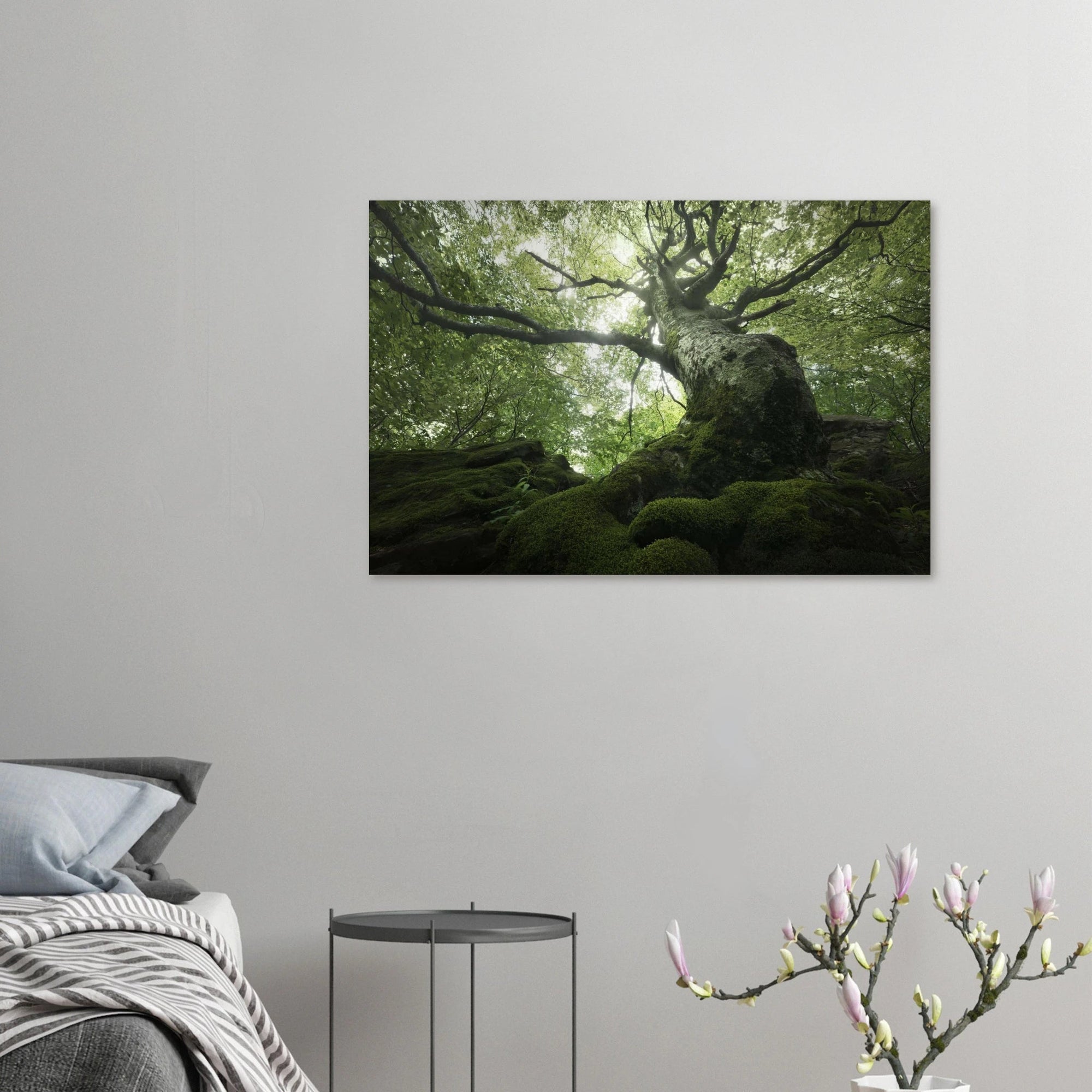 King of the Forest - Micol Art Gallery
