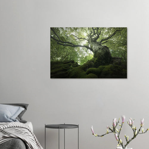 King of the Forest - Micol Art Gallery