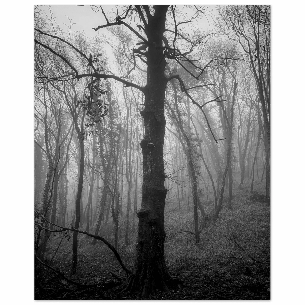 La nebbia - Micol Art Gallery