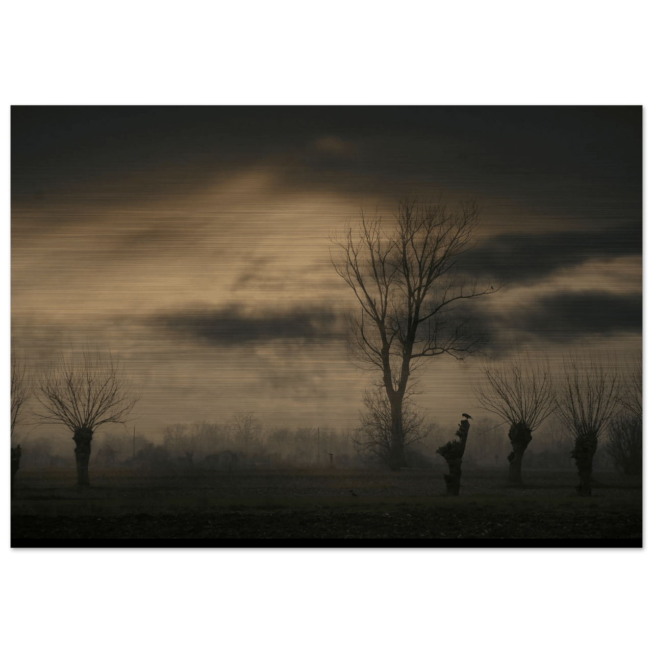 L’Ora d’Ombra - Micol Art Gallery