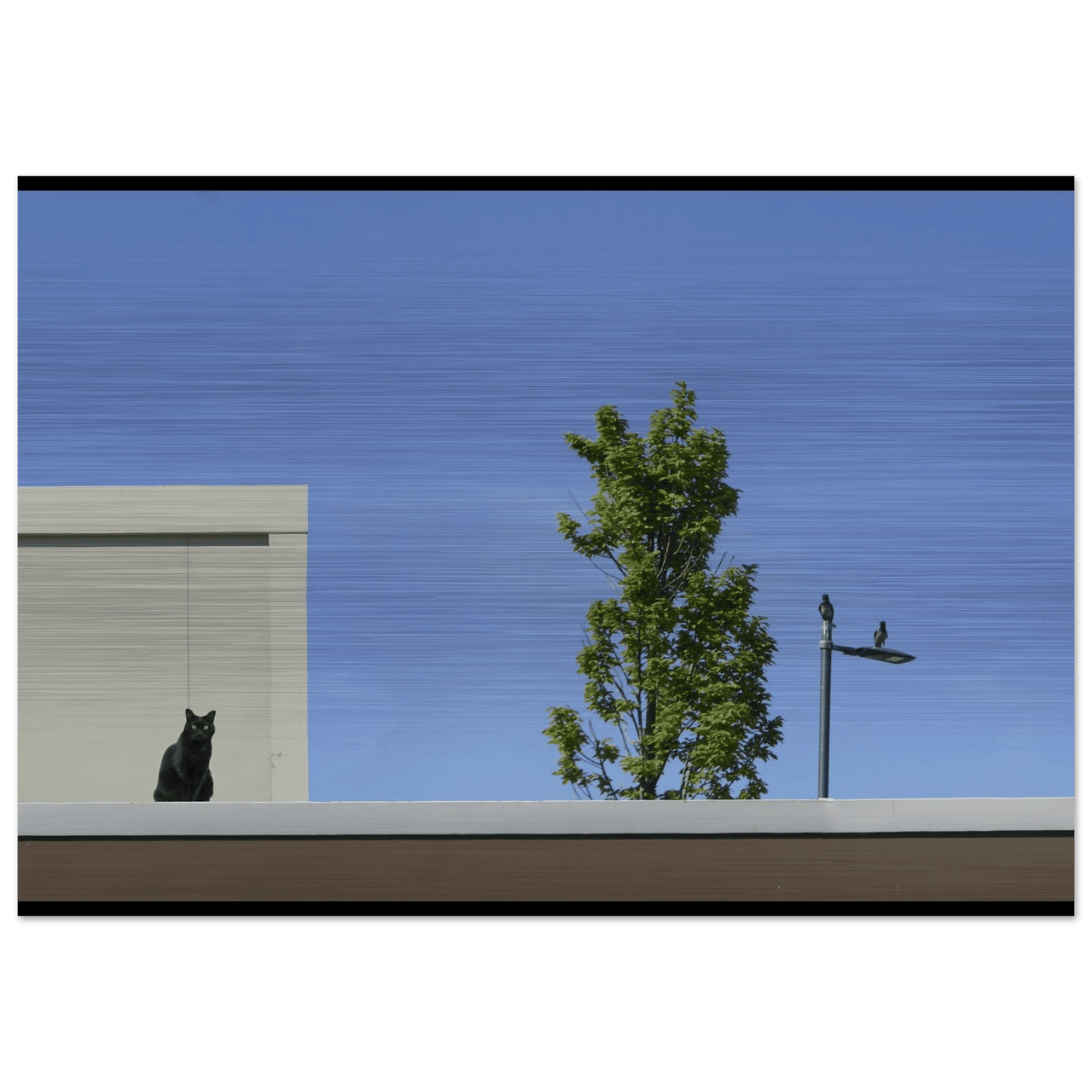 L'Orizzonte dell'Attesa - Micol Art Gallery