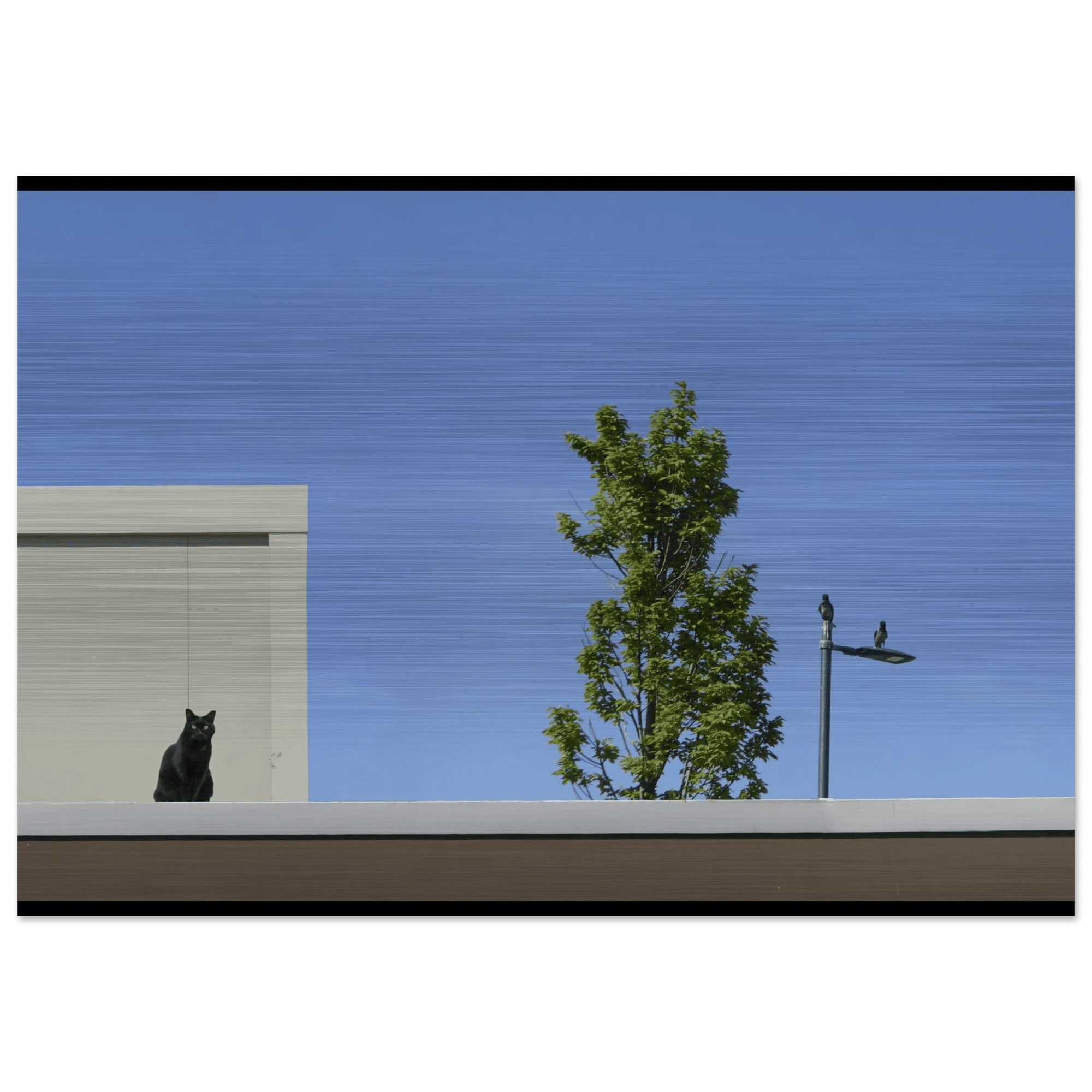 L'Orizzonte dell'Attesa - Micol Art Gallery