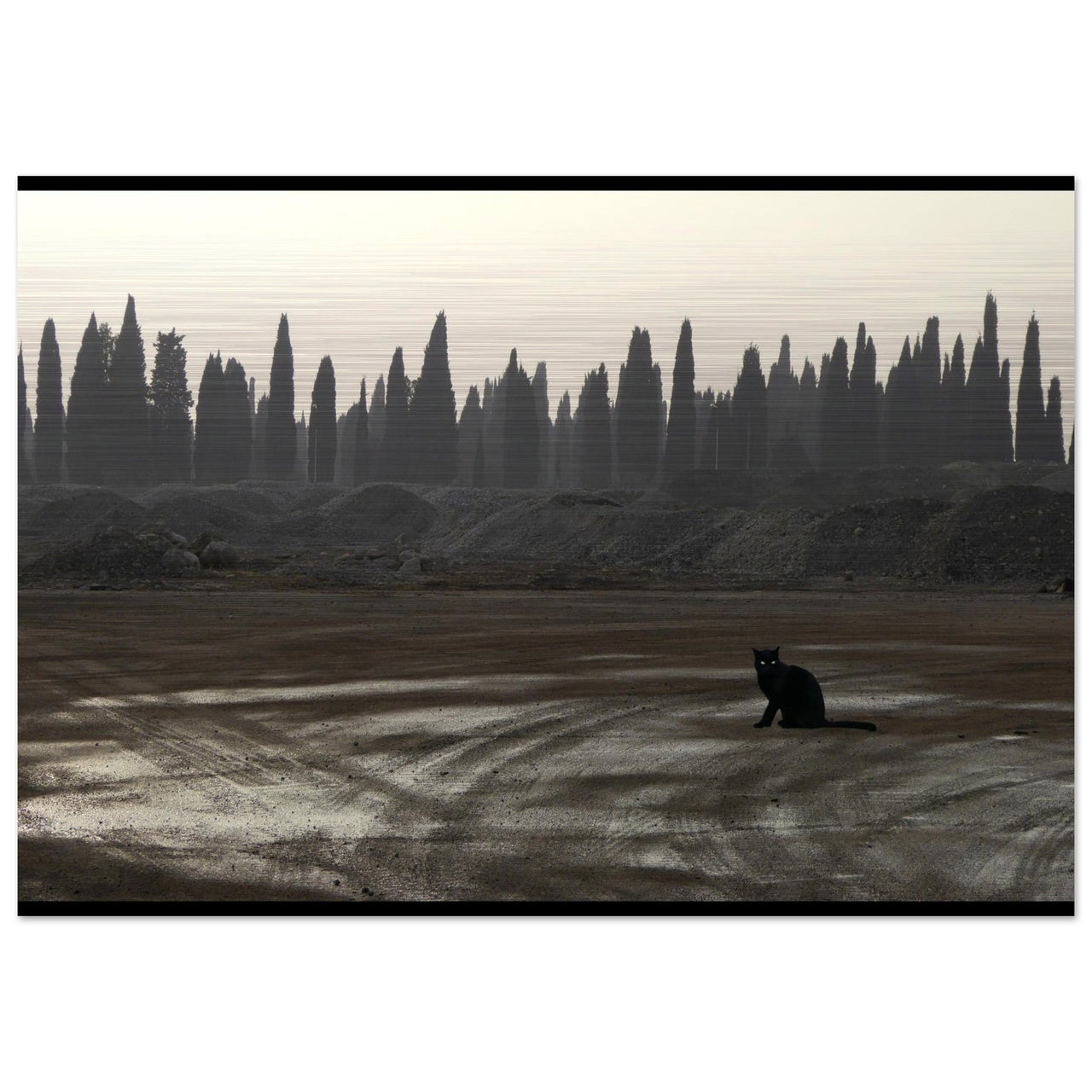 L’Osservatore Silenzioso - Micol Art Gallery