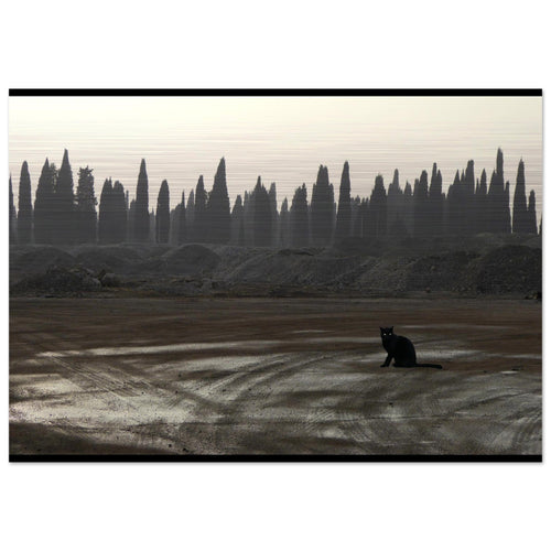 L’Osservatore Silenzioso - Micol Art Gallery