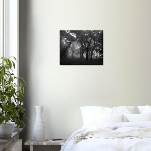 Luce - Micol Art Gallery