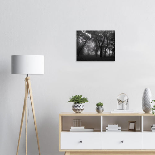 Luce - Micol Art Gallery
