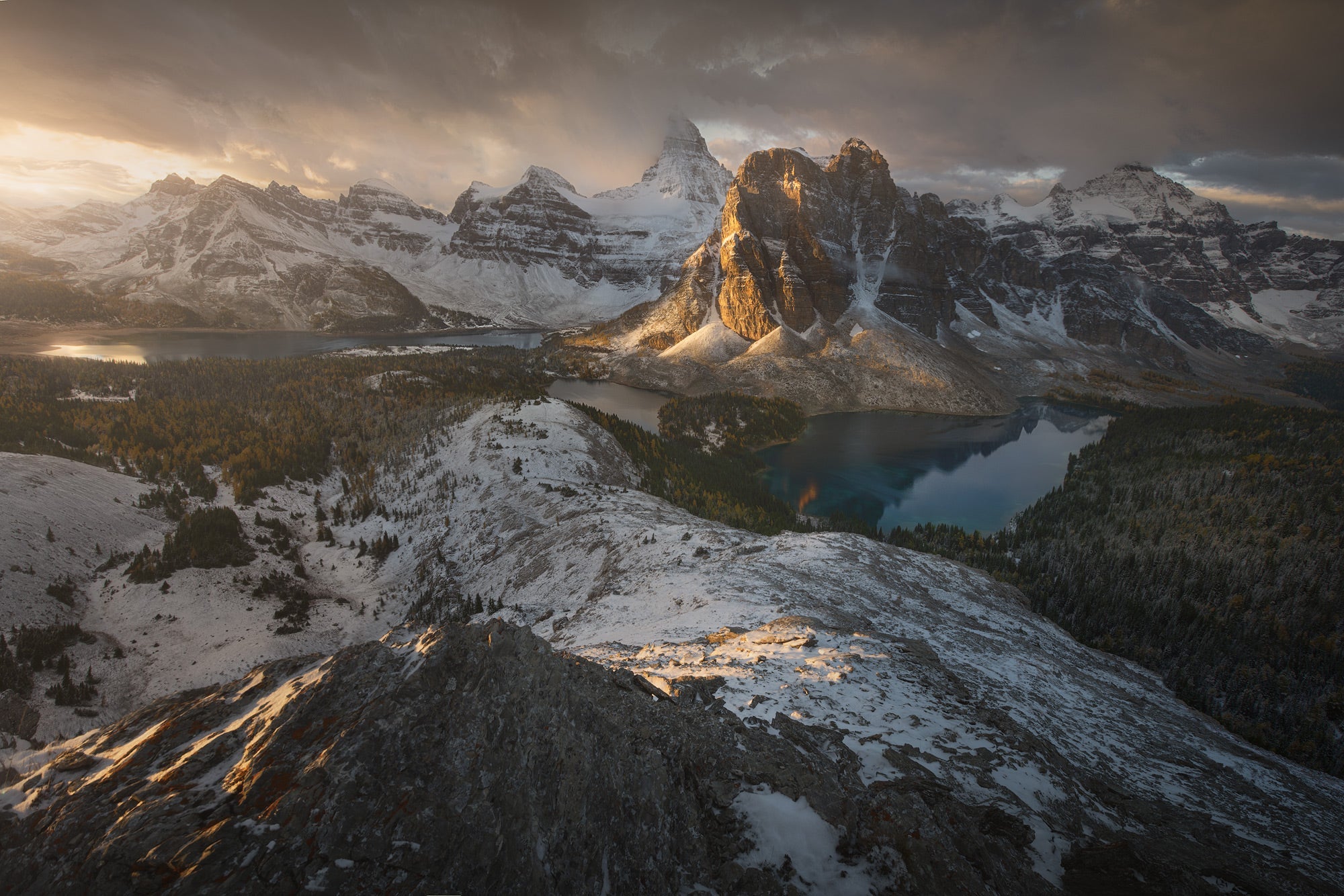 MIddle Hearth - Enrico Fossati - Micol Art Gallery - Micol Art Gallery