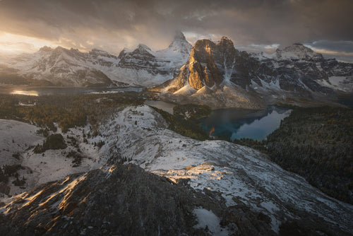 MIddle Hearth - Enrico Fossati - Micol Art Gallery - Micol Art Gallery