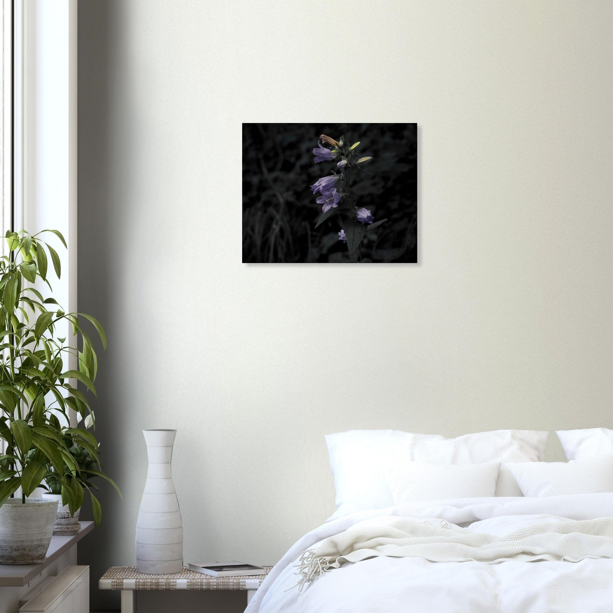Natura - Micol Art Gallery