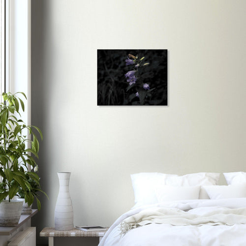 Natura - Micol Art Gallery