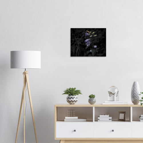 Natura - Micol Art Gallery