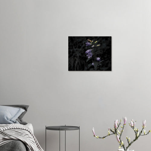 Natura - Micol Art Gallery