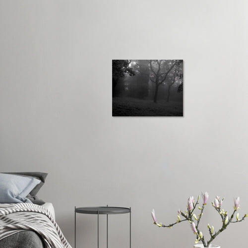 Nebbia - Micol Art Gallery