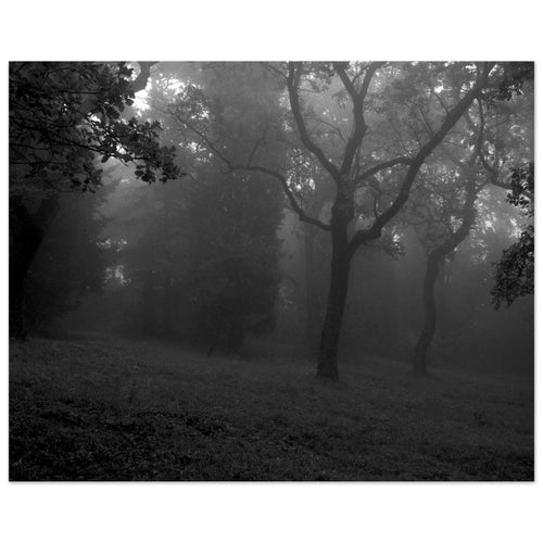 Nebbia - Micol Art Gallery