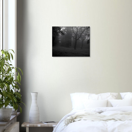 Nebbia - Micol Art Gallery