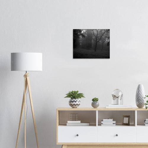 Nebbia - Micol Art Gallery