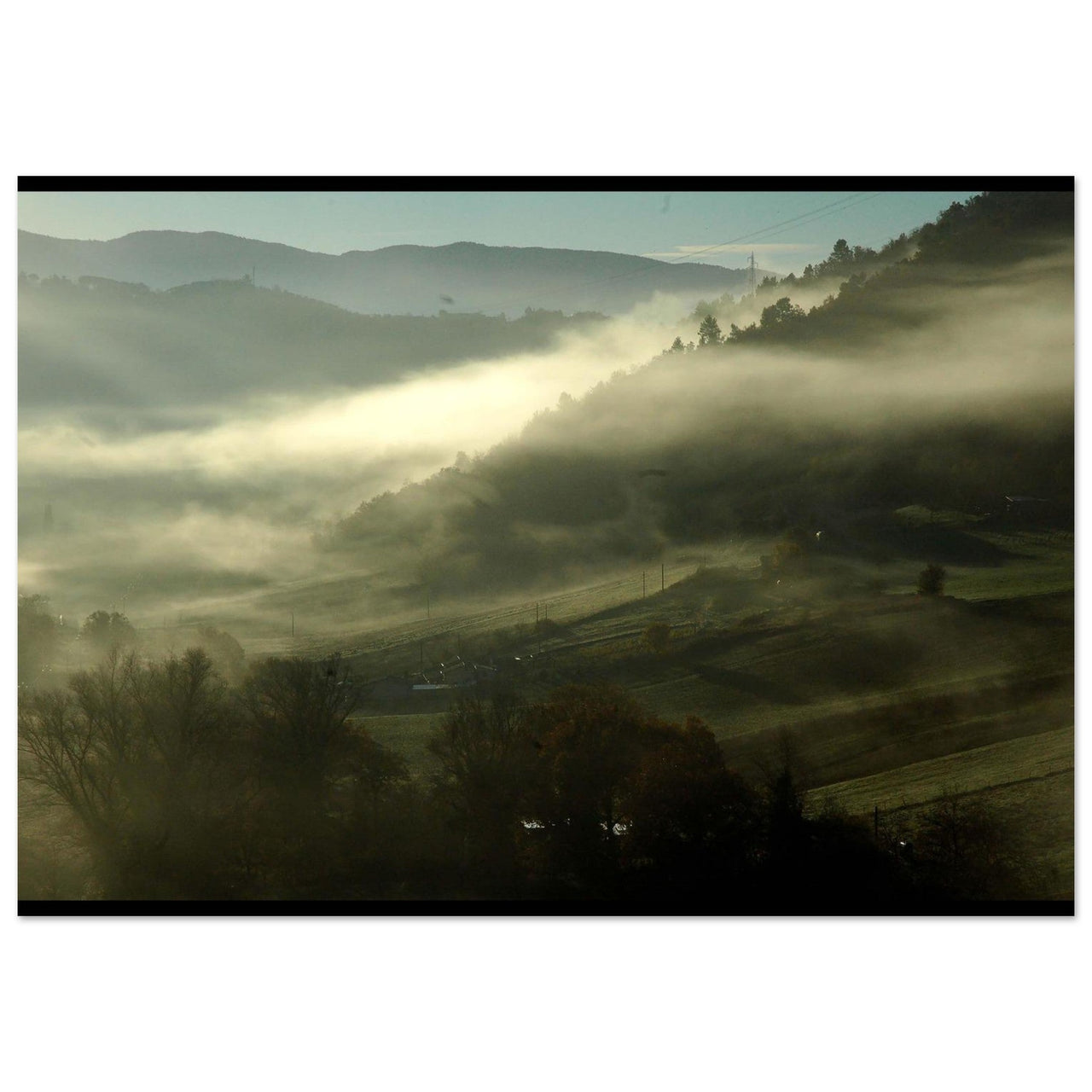 Nebbia in collina - Micol Art Gallery