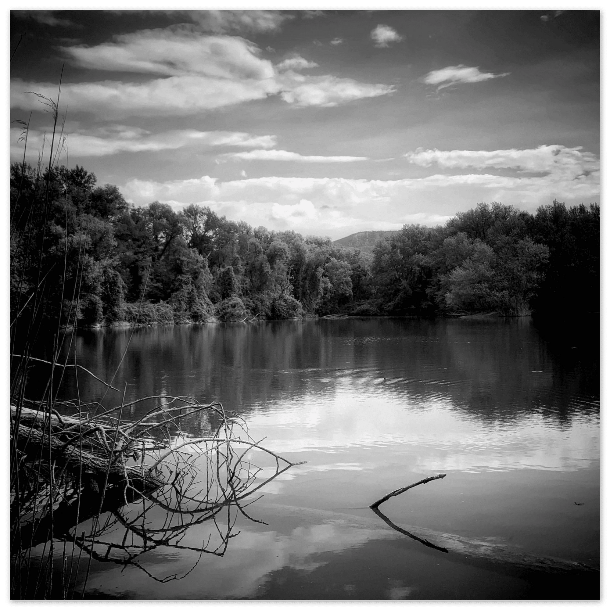 Noghere lago - Micol Art Gallery