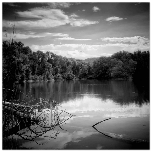 Noghere lago - Micol Art Gallery