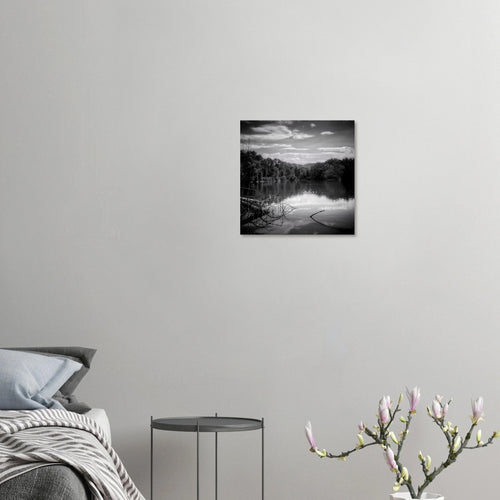 Noghere lago - Micol Art Gallery