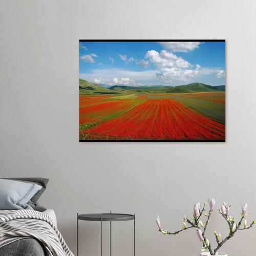 Piste di rosso - Micol Art Gallery