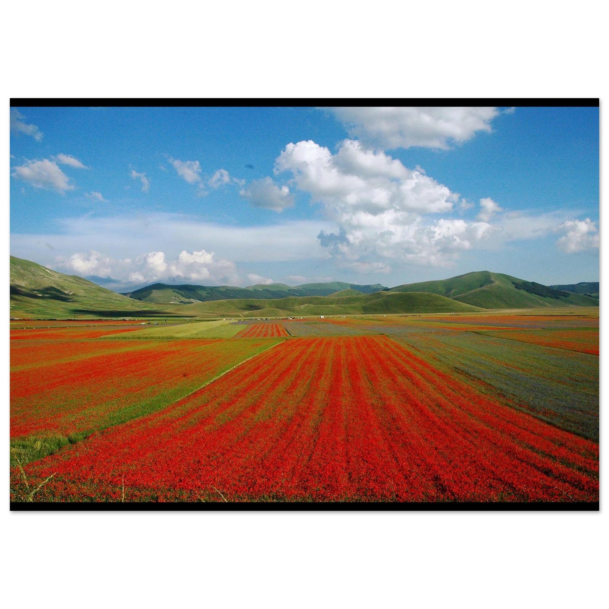 Piste di rosso - Micol Art Gallery