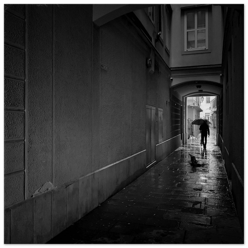 Portizza - Micol Art Gallery