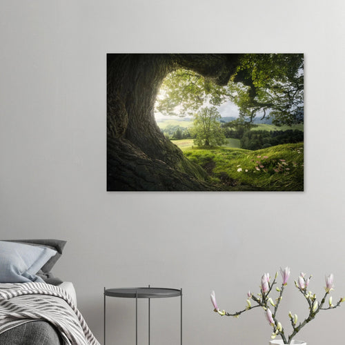 Return to the Shire - Micol Art Gallery