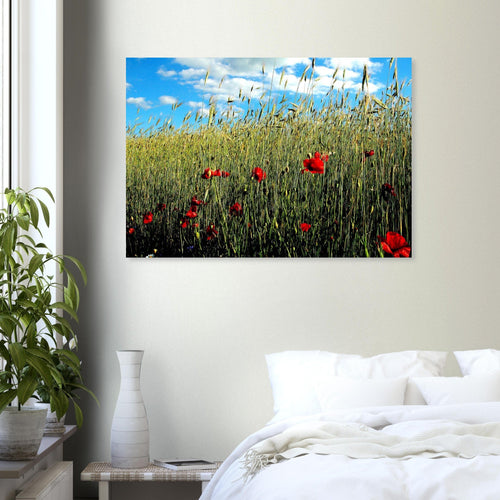 Rosso spiga - Micol Art Gallery