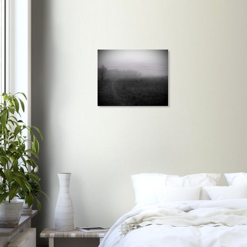 Sentiero - Micol Art Gallery