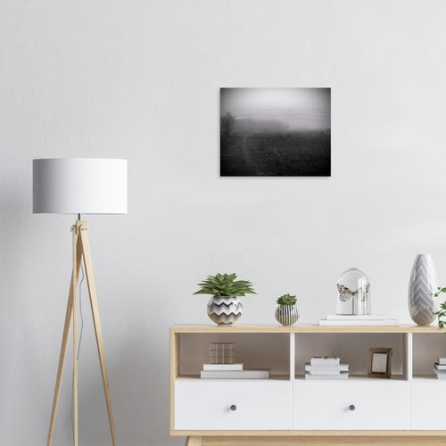 Sentiero - Micol Art Gallery