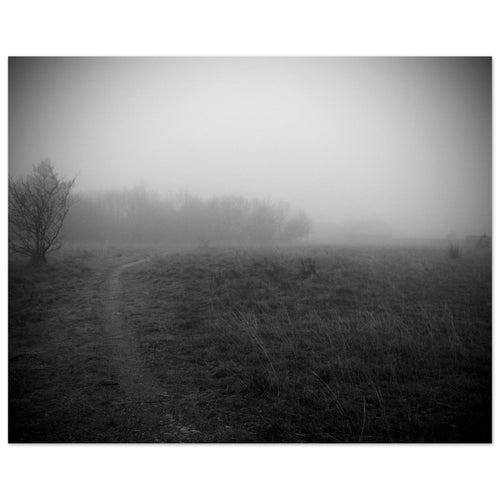 Sentiero - Micol Art Gallery