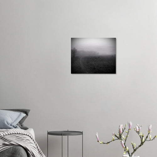 Sentiero - Micol Art Gallery