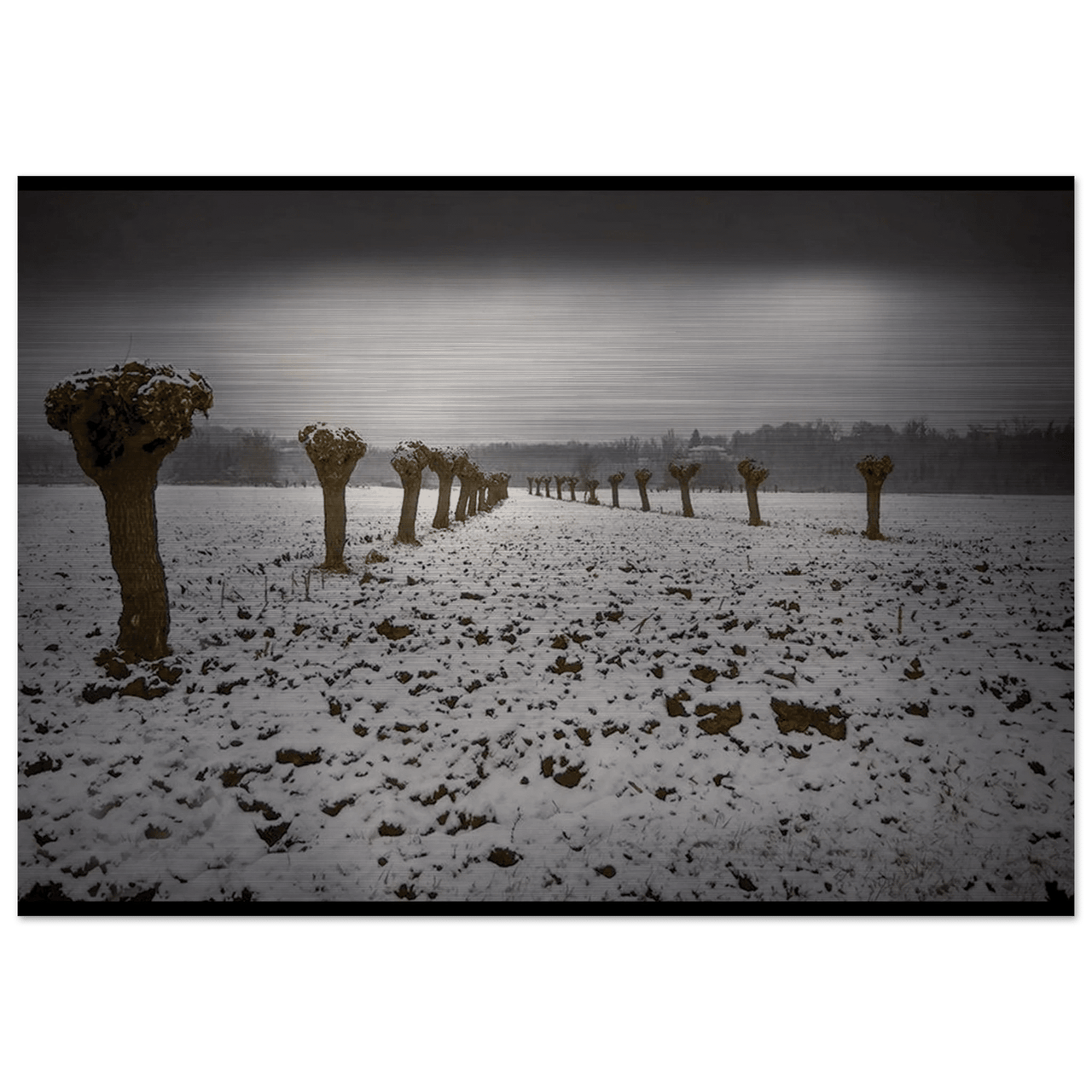 Sentinelle d’Inverno - Micol Art Gallery