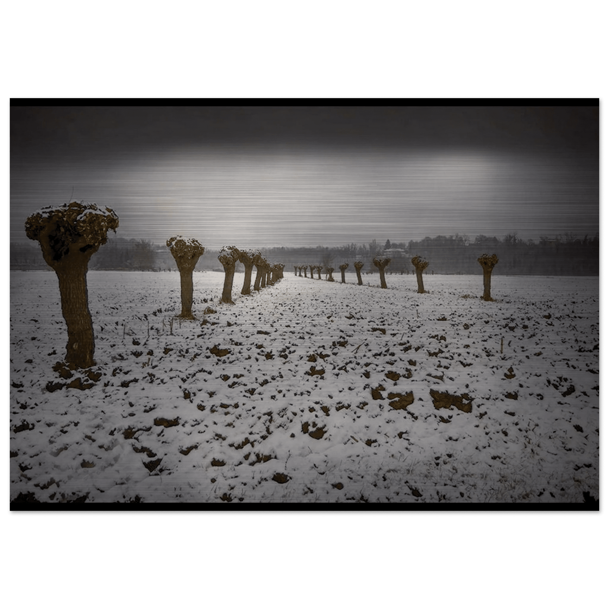 Sentinelle d’Inverno - Micol Art Gallery